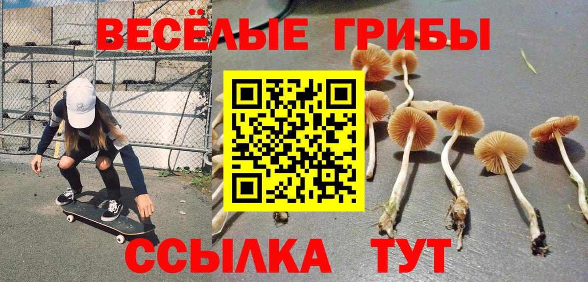 Протвино  дарнет шоп  Вход с VPN  Псилоцибиновые грибы MAGIC MUSHROOMS 